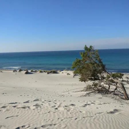 Casa Is Pascais - Explore South West Sardinia Apartment *